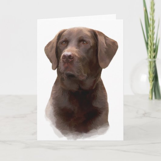Cartes de voeux de labrador retriever de chocolat (Devant)