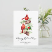 Cartes de vœux de Noël Cardinal rouge baie de houx (Debout devant)