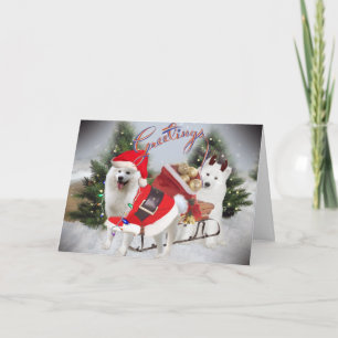 Cartes de voeux de Noël de Samoyed