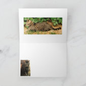 Cartes de voeux de Noël Tabby Cat (Intérieur)