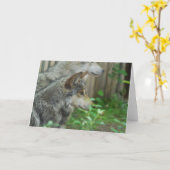 Cartes de voeux de paires de loup (Fleur jaune)
