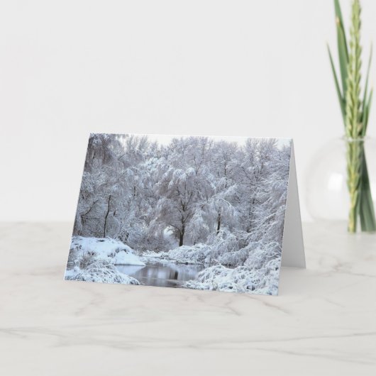 cartes de voeux de photo de blanc de scène d'hiver (Devant)