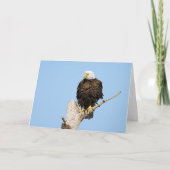 Cartes de voeux de remplissage d'aigle chauve (Devant)