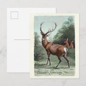 Cartes de vœux de saison colorisées de cerf élaphe (Devant / Derrière)