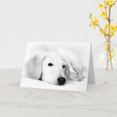 Cartes de voeux de Saluki (Fleur jaune)