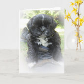 Cartes de voeux de Shih Tzu (Fleur jaune)