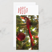 Cartes de voeux de vacances de Noël (Devant / Derrière)