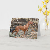 Cartes de voeux de Vizsla (Fleur jaune)