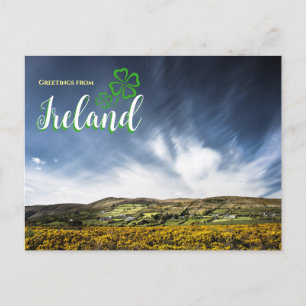 Cartes de vœux d'Irlande Carte postale panoramique