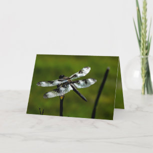 Cartes de voeux Dragon Fly