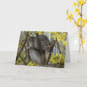 Cartes de voeux en petits bouquets (Fleur jaune)