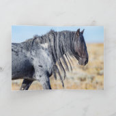 Cartes de vœux - Étalon sauvage du désert rouge (Intérieur)