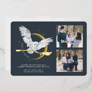Cartes de vœux familiales : Livraison Hedwig pour