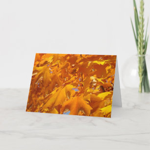 Cartes de vœux Feuilles d'arbre de chute orange Au