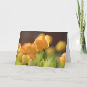 Cartes de vœux - Floral jaune de printemps