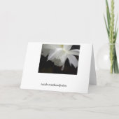 Cartes de voeux florales (Dos)