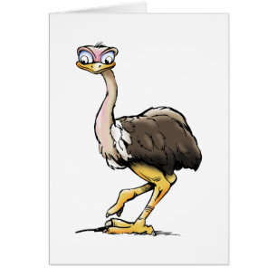 Cartes de voeux Funny Ostrich