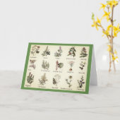 Cartes de voeux Herbes et épices (Fleur jaune)