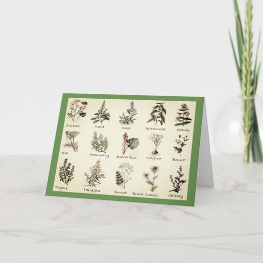Cartes de voeux Herbes et épices (Devant)