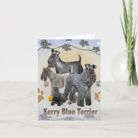 Cartes de voeux Kerry Blue Terrier (Devant)