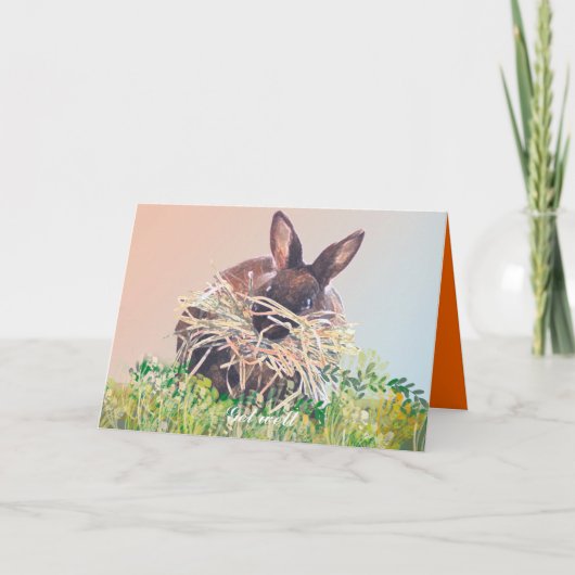 Cartes de voeux Lapin Anniversaire, Sympathie (Devant)