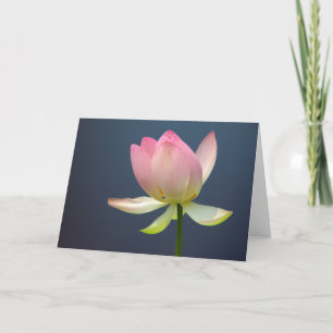 cartes de voeux lotus flower