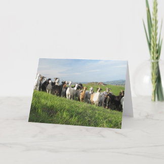 Cartes de voeux NGIP