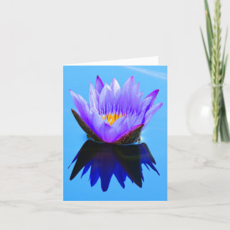 Cartes de vœux note de nénuphar à reflets violets
