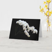 Cartes de vœux Orchidée Blanche (Fleur jaune)