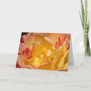 Cartes de voeux ou cartes à notes à fleurs de rose