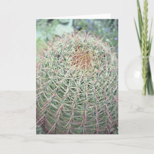 Cartes de voeux ou cartes de notes de Cactus à tor