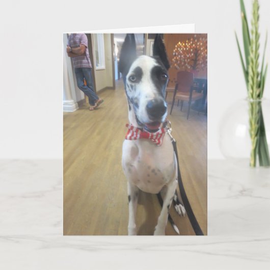 Cartes de voeux par le bouteur que la thérapie (Devant)