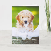 Cartes de vœux personnalisées avec photo d'animal (Devant)