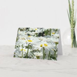 Cartes de vœux personnalisées Fleurs de marguerite