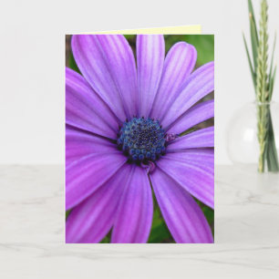 Cartes de voeux personnalisées Fleurs sauvages