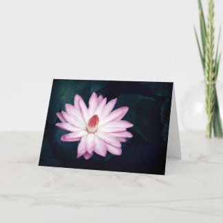 Cartes de voeux Pink Lotus Flower
