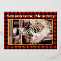 Cartes de vœux plaid drôle de photo de chat de com