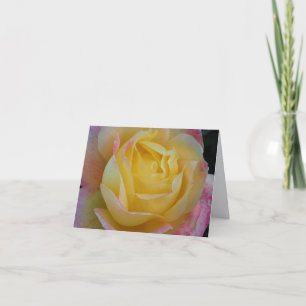 Cartes de vœux pliées de photographie d'art fin Ro