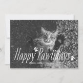 Cartes de voeux pour chat (Devant)