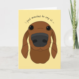 Cartes de voeux pour chien mignon "Just hi"