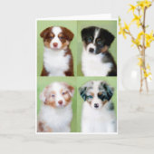 Cartes de voeux pour chiot australien (Fleur jaune)