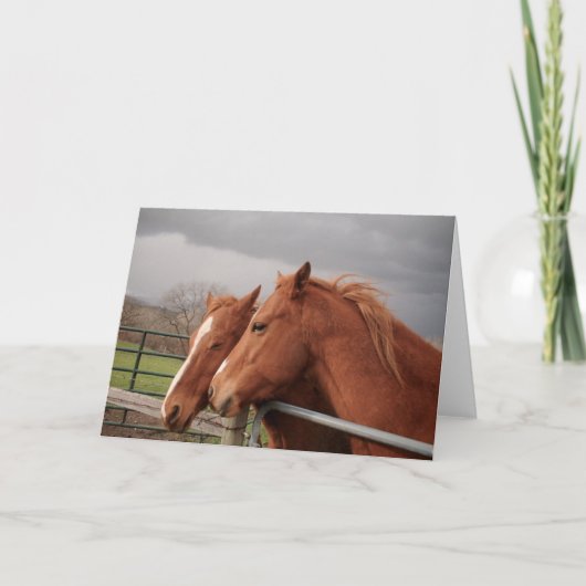 Cartes de voeux pour les amateurs de chevaux (Devant)