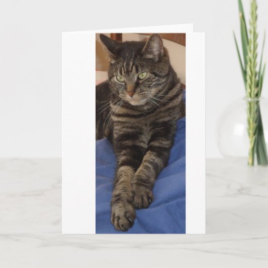 Cartes de voeux Regal Dave (Devant)