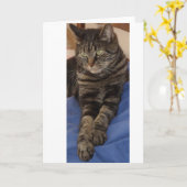 Cartes de voeux Regal Dave (Fleur jaune)