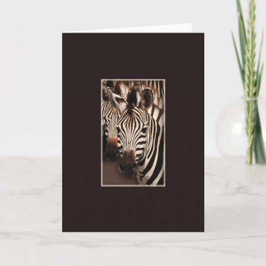 Cartes de voeux safari Zebra (Devant)