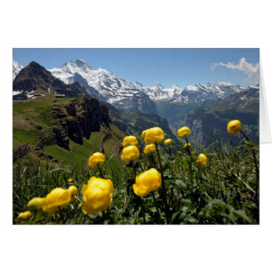 Cartes de voeux suisses, Grindelwald, fleurs