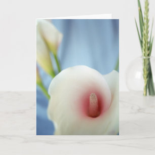 Cartes de voeux Swirl White Calla Lily
