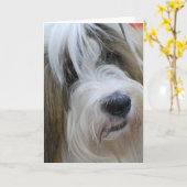 Cartes de voeux Tibétaines Terrier (Fleur jaune)