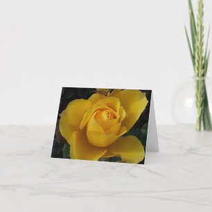 Cartes de vœux variées avec jardin d'amis à l'inté