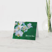 Cartes de vœux vertes avec orchidées blanches (Devant)